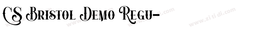 CS Bristol Demo Regu字体转换